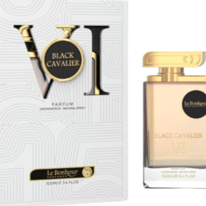 Black Cavalier VI Perfume/Cologne 100ml